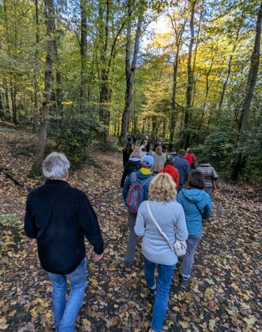 PXL_20241026_124320816.MP_